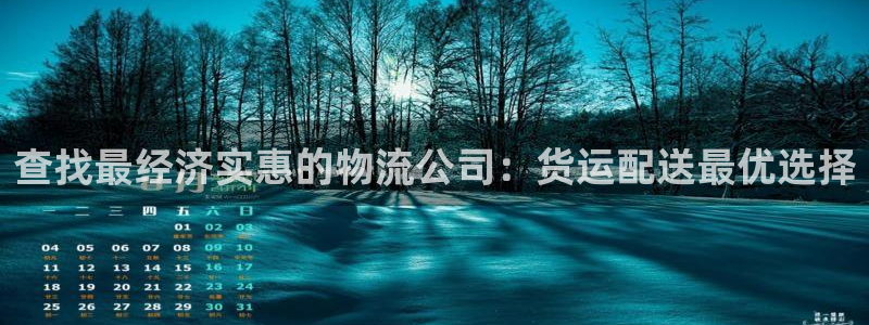 28圈游戏链接：查找最经济实惠的物流
