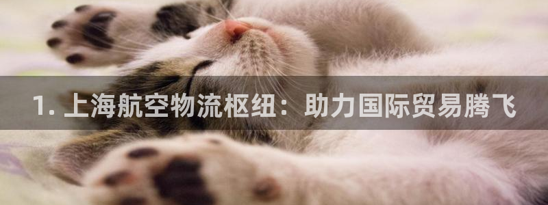 28圈怎么下载教程