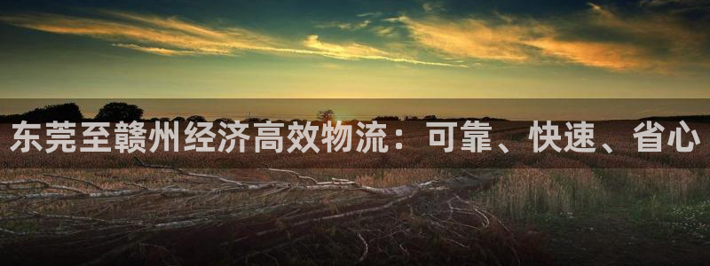 28圈.ccm