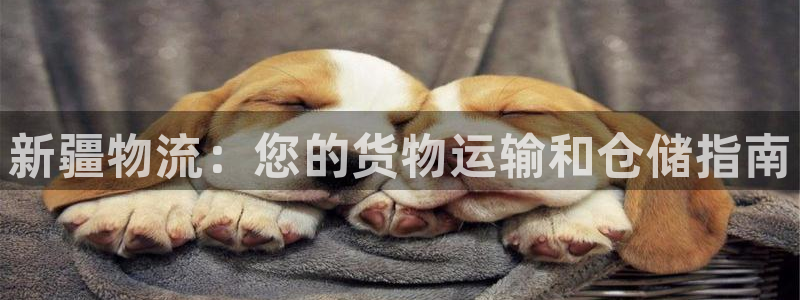 28圈充值不到账