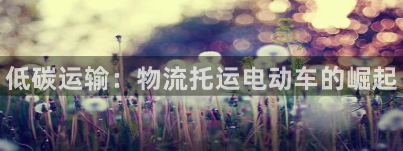 28圈赌博软件正规吗