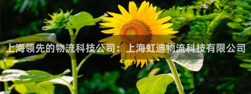 28圈注册教程：上海领先的物流科技公