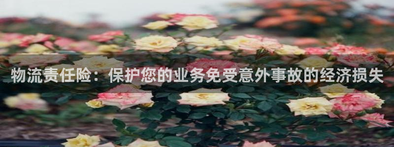 28圈能退款吗