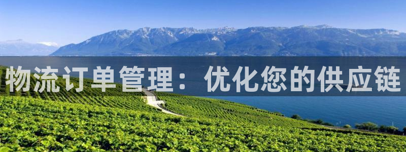 28圈ccm游戏