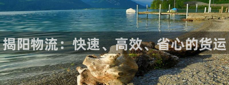 28圈电子：揭阳物流：快速、高效、省