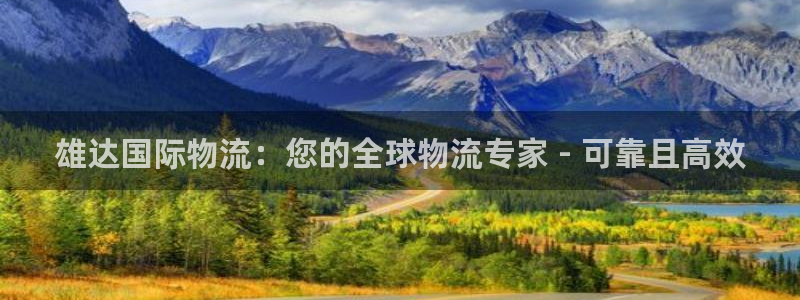 28圈连输10天：雄达国际物流：您的