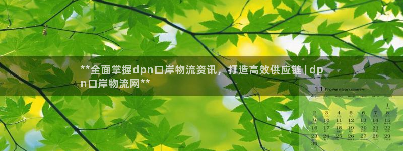 28圈注册号：**全面掌握dpn口岸