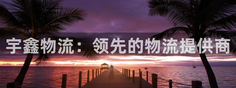 28圈注册地址：宇鑫物流：领先的物流