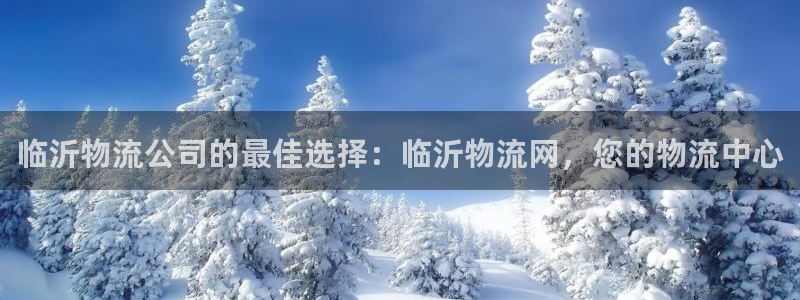 28圈登录网：临沂物流公司的最佳选择