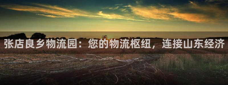 28圈aPP退款