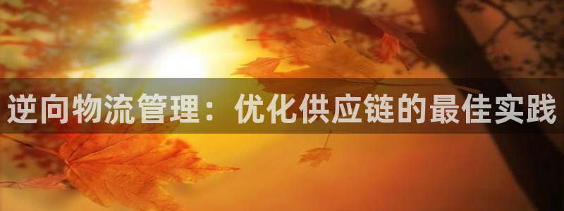 28圈充值不到账