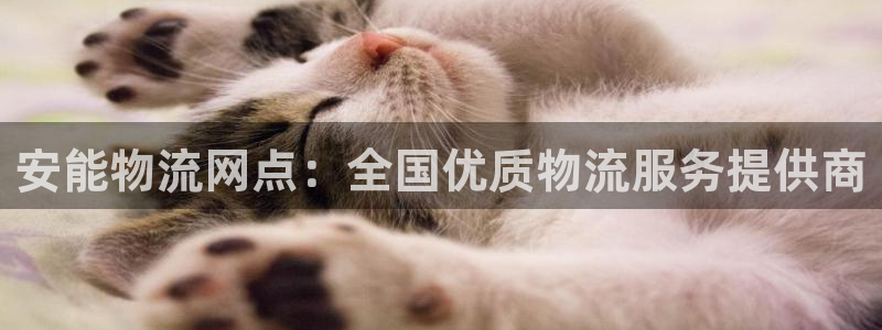 28圈下载体育