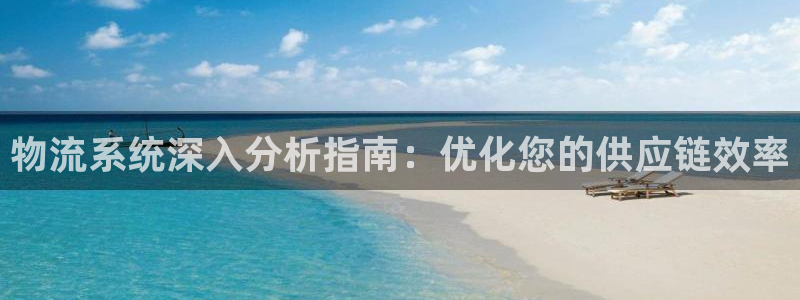 28圈游戏：物流系统深入分析指南：优