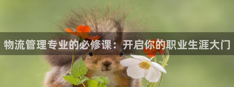 28圈加拿大28