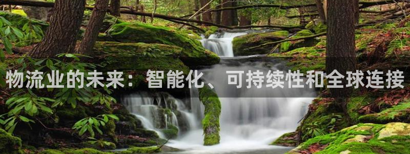 28圈模拟器下载：物流业的未来：智能