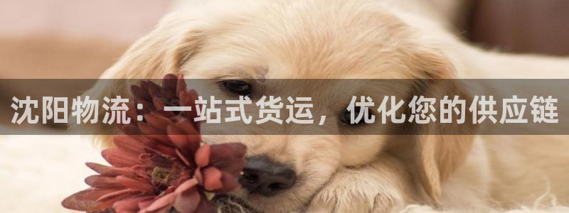 28圈.ccmpc29官网版下载