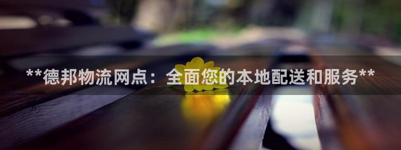 28圈登录不上咋回事：**德邦物流网