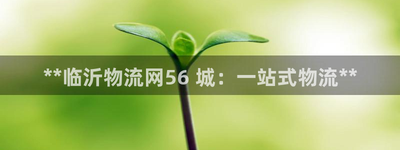 pc28圈怎么注册：**临沂物流网5