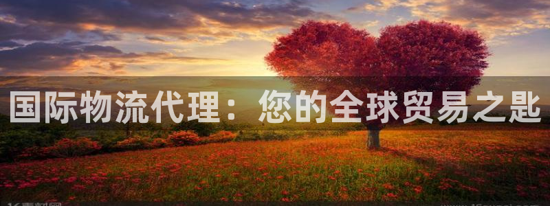 28圈百度百科
