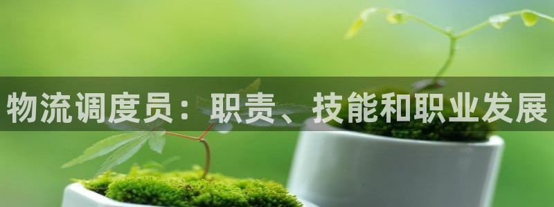28圈返水怎么算的
