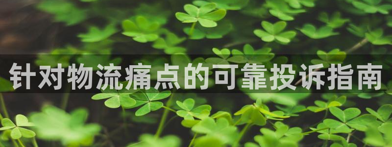 28圈官方平台