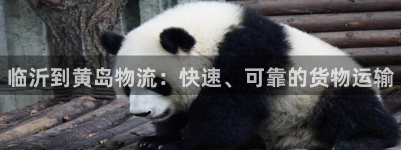 28圈是什么是赌博吗?
