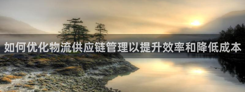 28圈.ccmpcios：如何优化物