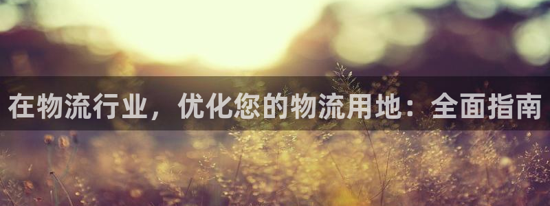28圈忘记账号