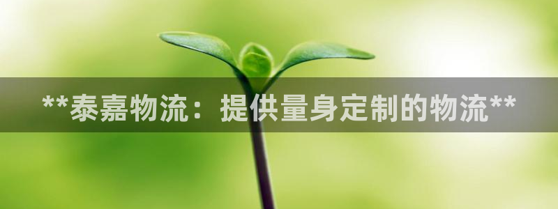 28圈官网链接