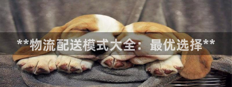 加拿大28圈注册链接：**物流配送模