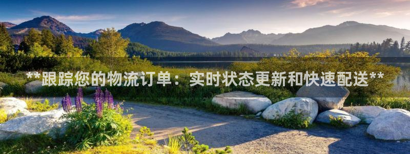 28圈怎么注册账号和密码：**跟踪您