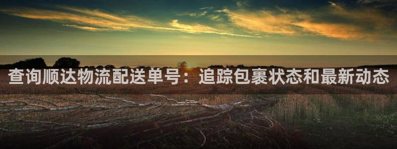 28圈登录用户名登录不上：查询顺达物