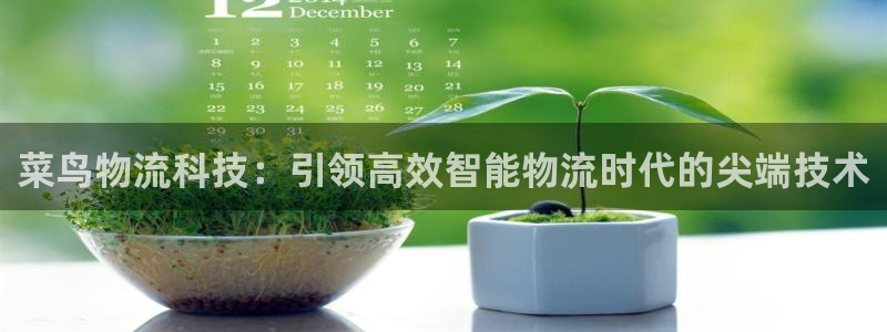 28圈注册地址：菜鸟物流科技：引领高