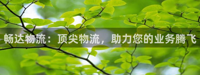 28圈加拿大走势：畅达物流：顶尖物流