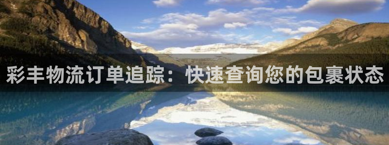 28圈相信品牌的力量：彩丰物流订单追