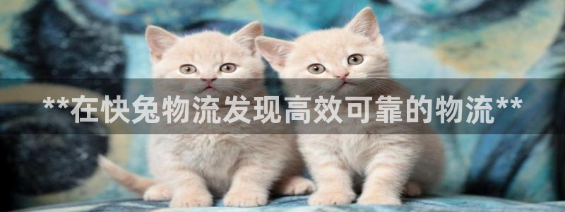28圈充值不处理怎么办：**在快兔物