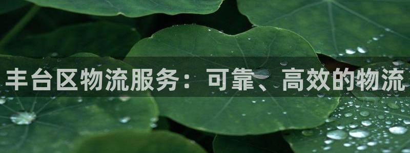 28圈软件有什么用：丰台区物流服务：