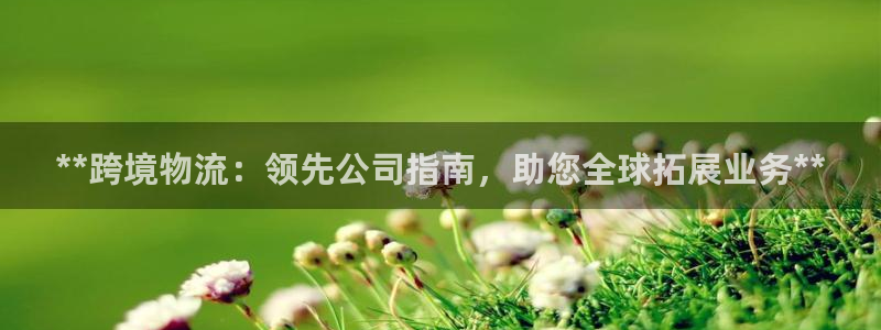 28圈登录不上咋回事：**跨境物流：