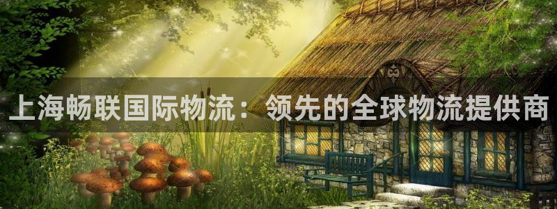28圈注册登录链接流程：上海畅联国际