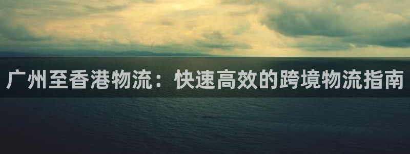 28圈怎么下载：广州至香港物流：快速