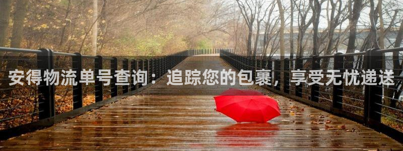 28圈预测：安得物流单号查询：追踪您