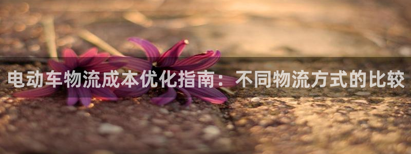 28圈注册链接入口：电动车物流成本优