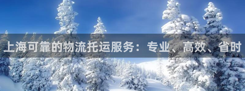 南宫28圈怎么注册：上海可靠的物流托