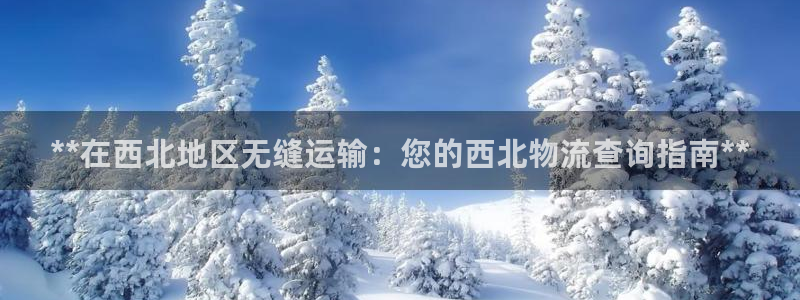 28圈官网版下载：**在西北地区无缝