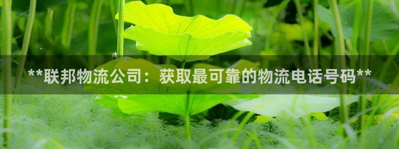 28圈模拟器下载：**联邦物流公司：