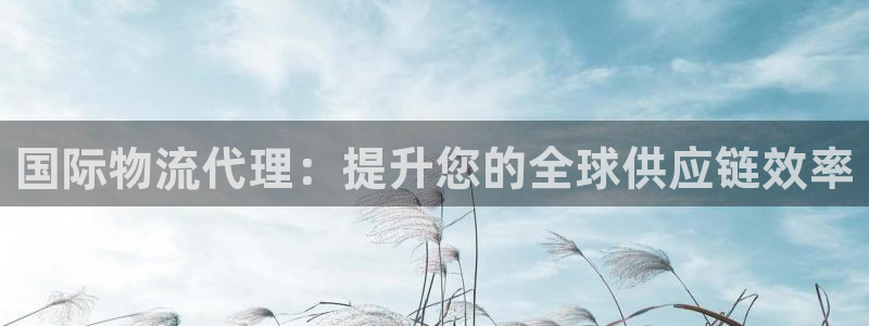 28圈官网版下载：国际物流代理：提升