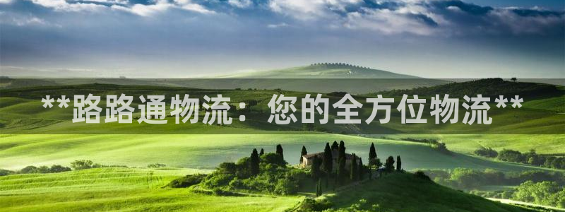 28圈p扣款什么意思：**路路通物流