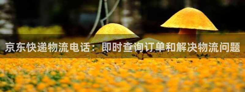 28圈官方网站