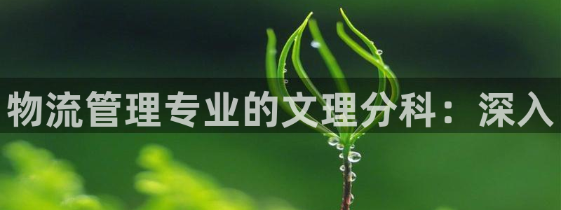 28圈能赢钱吗