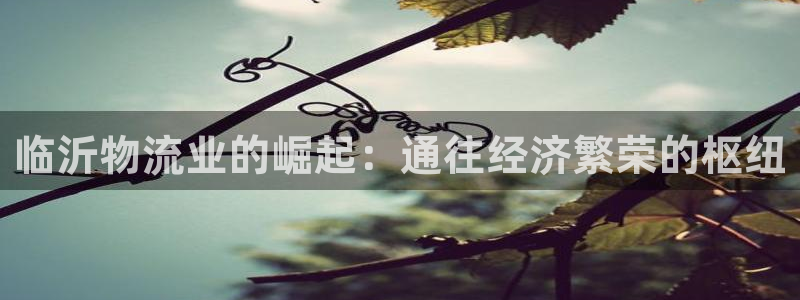 28圈入口问一问